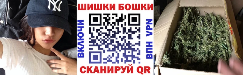 Купить закладки  Чехов  Бошки Шишки SATIVA & INDICA 